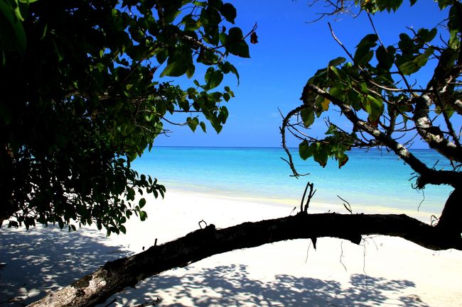 ☆Ao Reli Bagu Beach , Koh Adang @ Mu Koh Lipe Thai