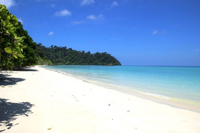 ☆Ao Reli Bagu Beach , Koh Adang @ Mu Koh Lipe Thai<br /><br />無人島にはふつう椰子の木はなくてもパンダナス(タコノキ、アダンノキ）はあるものですがこのAo Reli Bagu Beachは殆ど見かけません。<br />パンダナスはどちらからと言えば岩場などを好むので<br />このビーチは地質が合わないのかも。