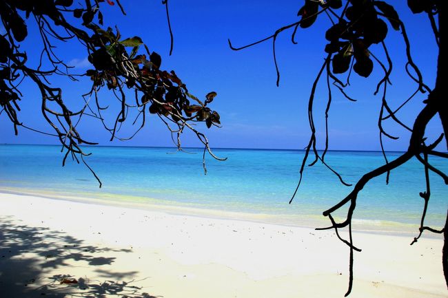 ☆Ao Reli Bagu Beach , Koh Adang @ Mu Koh Lipe Thai