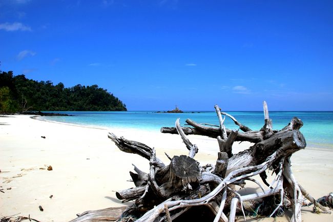 ☆Ao Reli Bagu Beach , Koh Adang @ Mu Koh Lipe Thai<br /><br />ビーチの東端近くに流木のような切り株があります。<br />