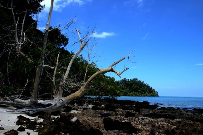 ☆Ao Reli Bagu Beach , Koh Adang @ Mu Koh Lipe Thai<br /><br />Ao Reli Bagu Beachの東端です。<br />この岩場の向こうにももう一つ湾とビーチがありますが<br />でもなぜか砂色は茶色、なぜ隣り合っているビーチの色が極端に違うのか謎です。<br />
