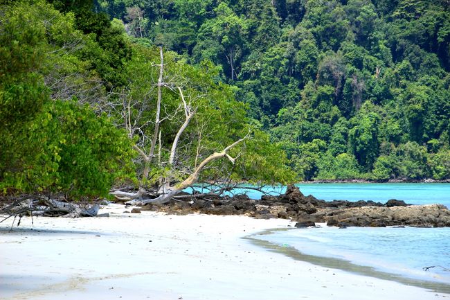 ☆Ao Reli Bagu Beach , Koh Adang @ Mu Koh Lipe Thai