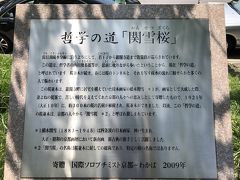 哲学の道

銀閣からすぐのところを起点に、大豊神社までずんずん歩きました。木陰で少しは暑さをしのげたかしら。外国人観光客もすごく歩いてましたね。