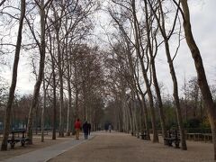 リュクサンブール公園。
広大な公園。早い時間から子供たちがテニスをしたり、大人はランニングしたり、老人はノルディックウォーキングをしたり。
この公園はこのあと何度も通りますが、ハイソな市民の憩いの場という感じでとても居心地良かったです。