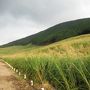 初秋箱根温泉満喫の旅（３）