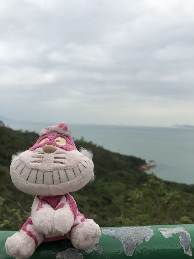 心なしか、相棒もご満悦。