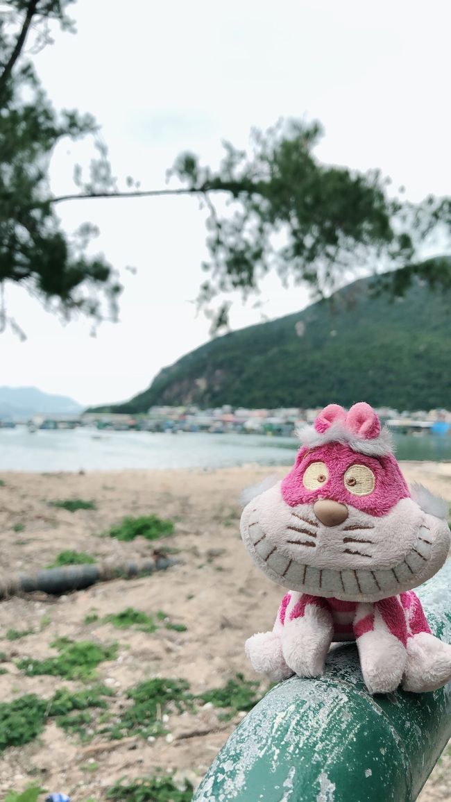 海沿いをてくてく歩きます。