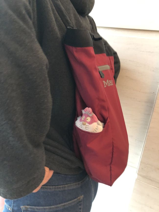 おはようございます。12月29日です。<br />今日は、香港島からフェリーに乗って在港欧米人に大人気のスローライフのの島！南Y島（ラマ島）へ観光に行きます。