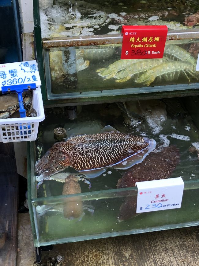 サクッと着きました。<br />到着すると沢山の海産物のレストランが軒を連ねており、水槽ではイキのいい魚介が泳いでました。こんなイカ水族館でしか見たことない。