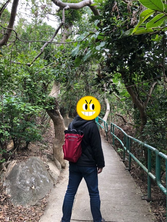 旦那も、良い運動としてずんずん登っていきます！