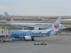 那覇空港のＡ＆Ｗの車窓から。ジンベエジェットが見えました！