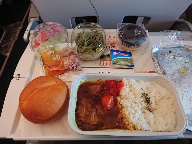 機内食１回目。チキンカレーを選択。<br /><br />食後は映画を観たりソリテアで時間をつぶす。