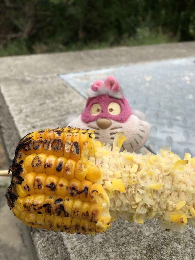 近くに焼きとうもろこしが、売っていたので、ついつい買い食い。