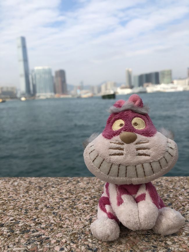 食べすぎちゃったので、相棒引き連れ海沿いをお散歩てくてく。