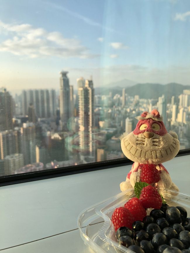 さて、ホテルで休憩だ。この子は、まだフルーツを食べたがっている。