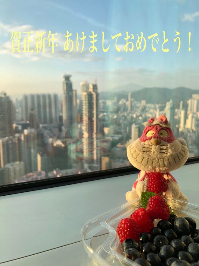 あけまして、おめでとうございます。あけましたね。2019年1月1日です。