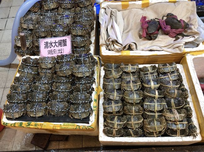 上海蟹もたくさん。1匹1000円ぐらい。