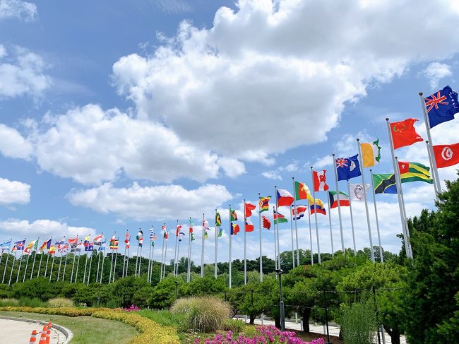 国旗がずらーっと<br />日本もありました(謎の安心感)