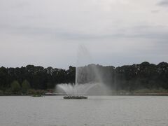 千波公園・・・広大な市民の憩いの場

湖は野鳥の宝庫、自然の風感じながらランニングする人多く見られました