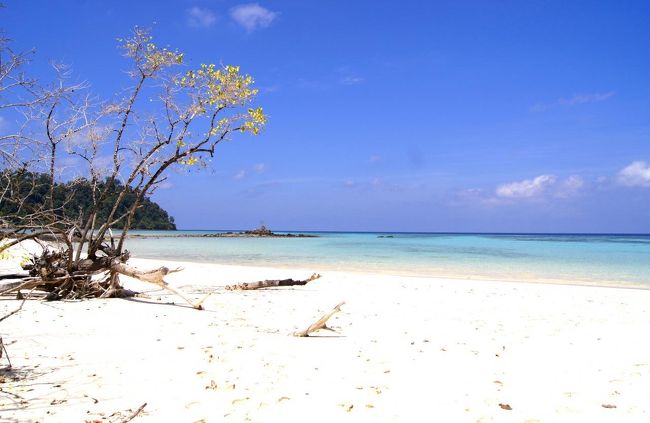 ☆Ao Reli Bagu Beach , Koh Adang 　(２０１４年２月撮影)<br /><br />５年前はかろうじて生きていたありし日の姿。<br />