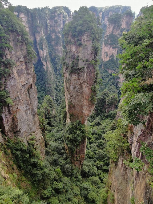Amazon.com: 中国の絶景 桂林 黄山 張家界 山水画の世界 名峰