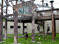 【ここは、ペンギンが空を飛ぶ動物園】

お次は...