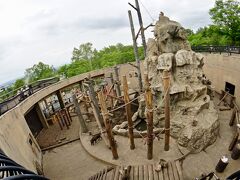 【ここは、ペンギンが空を飛ぶ動物園】

「さる山」です。

どこの動物園でも猿山はありますが、ここはどの様な工夫がなされているのでしょうか...

「鼻で地面を掘りまくる」って...一体なんのこと？