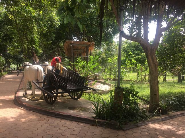 メコンアイランド