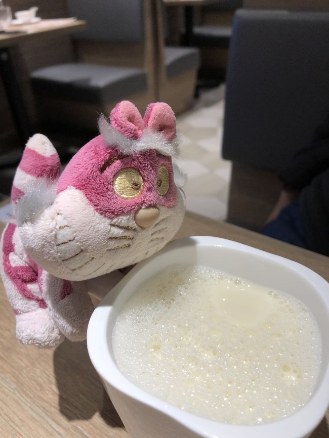 おはようございます。1月3日です。<br />今日は帰国日。朝はまず一杯の温かい豆乳頂きました。ほんのり甘くて、日本でも豆乳スタンドがあればいいのに。