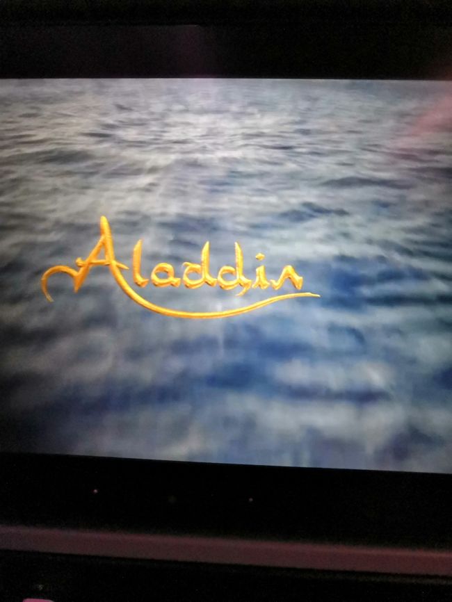 アラジン実写版(笑)<br /><br />寝落ちしました。