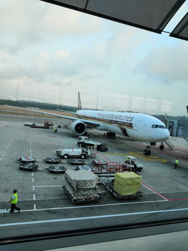 定刻チャンギ空港に到着です。