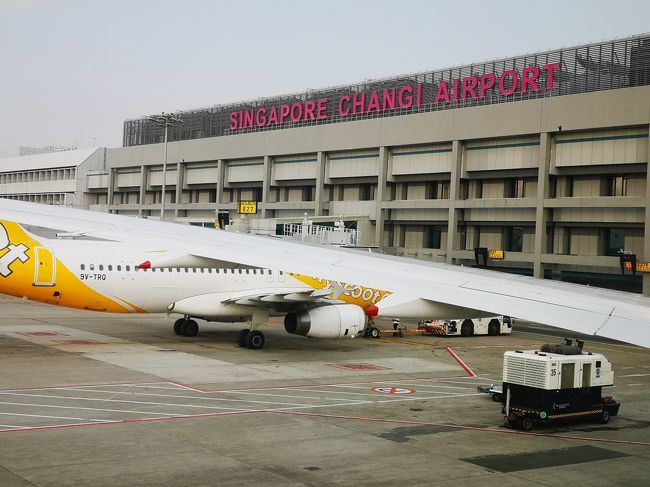 定刻運行です。