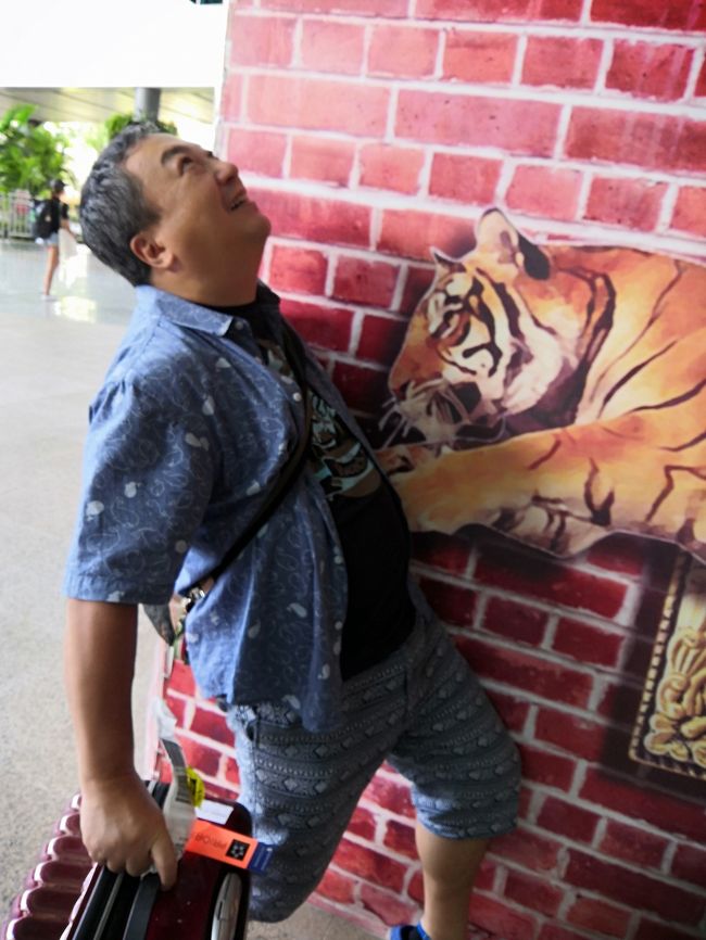 トラに引っかかれたり(笑)<br /><br />小１時間待ってドライバーがやってきて<br />さぁ！パダンバイ～ギリアイル～サヌールへの旅の<br />始まりです。(*'▽')