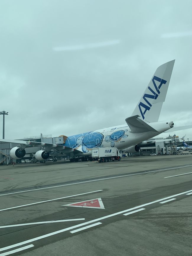 フライングホヌ1号機の後ろ姿。