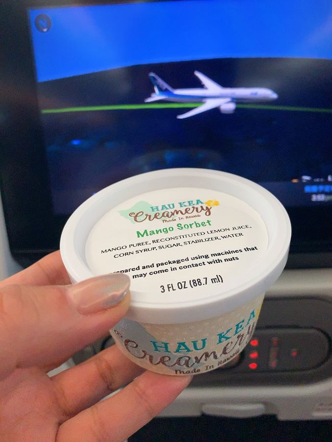 そういえば…高橋果実店のソルベ食べ損ねた！<br />のでマンゴーソルベ嬉しい。<br />行きのハーゲンダッツといいアイスが美味しいのはポイント高い♪