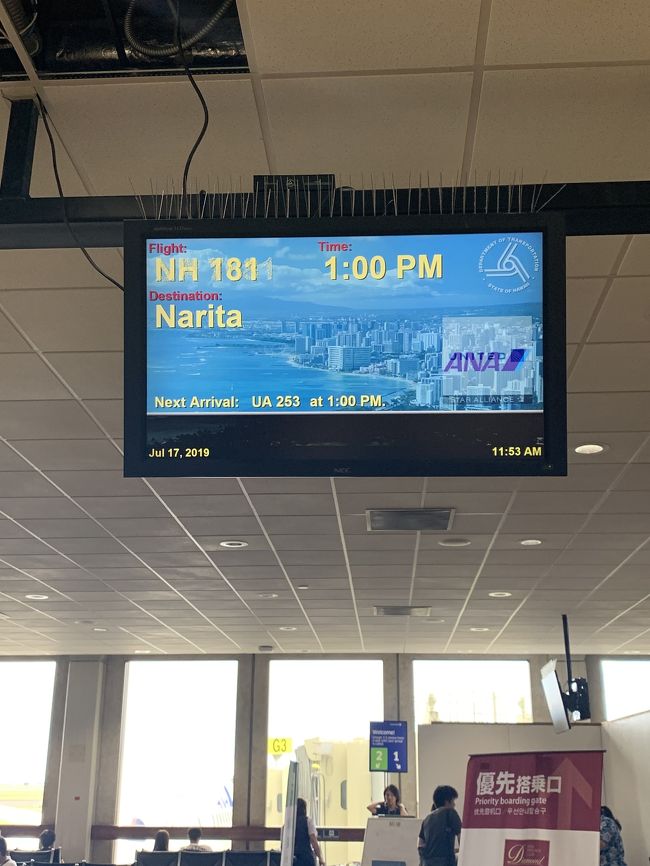 帰りはフライングホヌではありません。<br />ホヌと比較すると気持ち狭く感じた。<br />あとモニターも小さい。<br />とはいえANAは快適です。