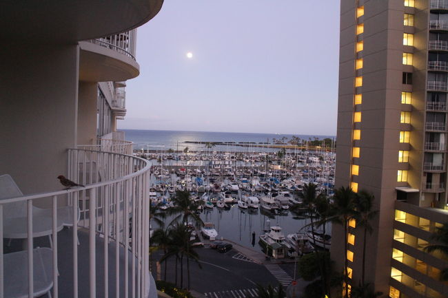 最終日の朝も早起き！！