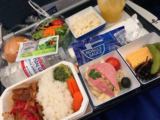 機内食。<br />お肉にしました。<br />安定した味で残さずペロリと完食。