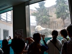 【ここは、ペンギンが空を飛ぶ動物園】

この館は、入るのに行列ができていました。

時間にして、2－30分並んだかなぁぁ....