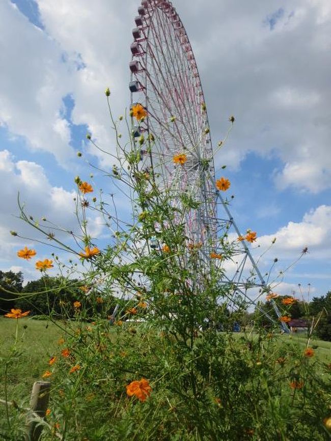 上京しました 葛西臨海公園へ初めて行ってきました 19年9月日 葛西 東京 の旅行記 ブログ By Toraobasanさん フォートラベル