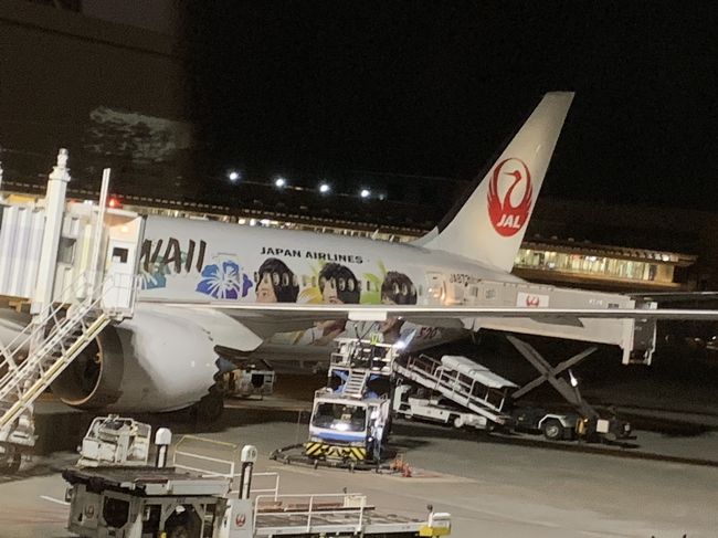 私だけ2時間遅れての出発ですが、ラッキーなことに嵐ジェットでした！