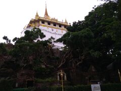 ワットベンチャマボピットのすぐ目の前のバス停から
路線バス503番で移動します。エアコンバスなので13バーツ。
次の目的地はワットサケート。入場は50バーツ。