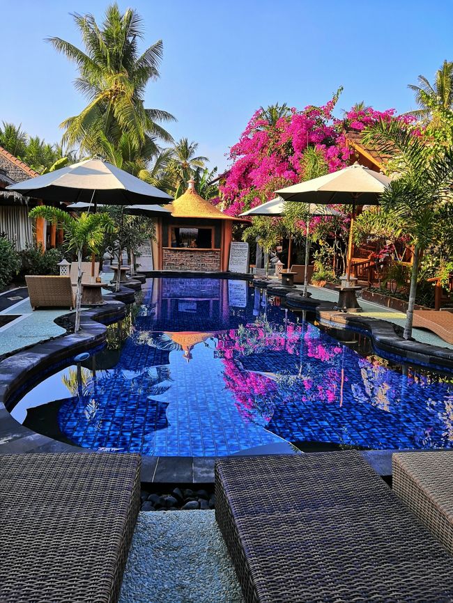 プールは私の大好きな流線形　(#^.^#)<br /><br />