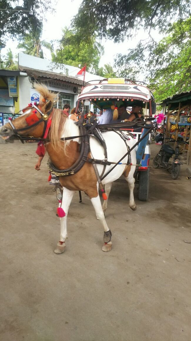 こんな素敵なチドモ（馬車）も使えるよ。<br />インスタ映えるね。(^_-)-☆<br /><br />ギリアイルのビーチはこちら<br />https://4travel.jp/travelogue/11547409<br /><br />ギリアイルのお食事はこちら<br />https://4travel.jp/travelogue/11549295<br /><br />