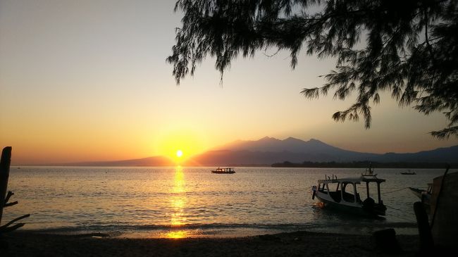 その後、Ｊ太くんと島を４分の１散歩します。