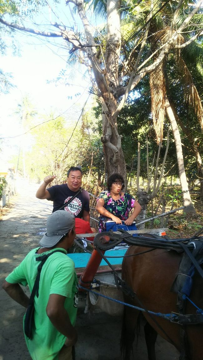 Ｊ太くん、ちょっと体調崩してるので<br />通りがかった荷物運び用の馬車(笑)を<br />呼び止めて港まで乗せてもらったよ。<br />カジュアルな使い方だよ。<br />