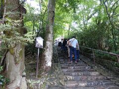 思ったより(雨が降り続いていたので速足で)早く苔寺を見終えたので、嫁と相談してすず虫寺に向かいます。えー、こんなとこ登るの。
登っただけで疲れて写真はほとんど撮ってません。人多すぎるし、撮影禁止と書いてあるし。
しかし、聞きしに勝る住職の説法。吉本興業よりも上と聞いた通りでした。