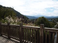 西湖「いやしの里根場」から正面に富士山を見る事が出来ますが、今日はあいにく雲が多く見れませんでした --- 園内はゆるやかな坂で途中に、藁ぶき屋根の建物が有ります。　　（入場料：大人３５０円・子供１５０円）

　*いやしの里根場ＨP
　　http://www.fujisan.ne.jp/iyashi/
