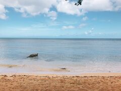 海亀ビーチへ
