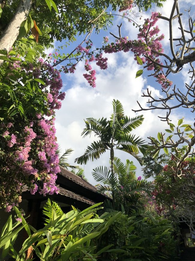 朝食前に散歩がてらランドリーへ。バリでは洗濯物は街のランドリーに出すのが安いとネットで読みました。